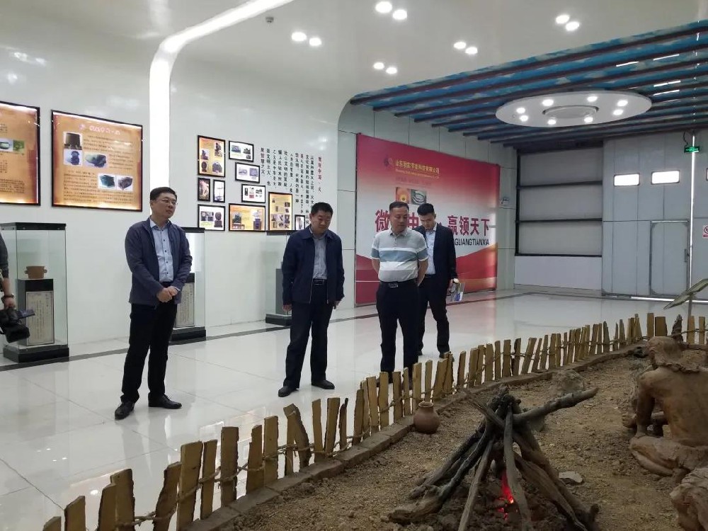 東營市河口區(qū)工信局楊學(xué)剛局長一行來公司參觀考察